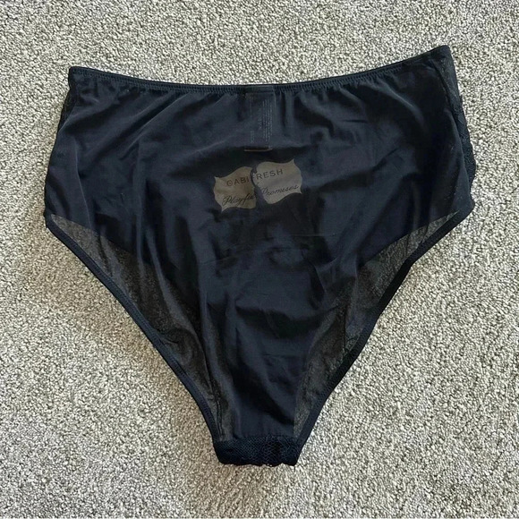 New NWT Gabi Fresh Playful Promises Panties‎ Lace Mesh US 12 - Picture 3 of 5